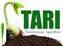 TAFORI